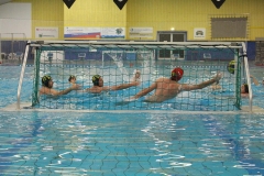 wasserball-chemnitz-dresden-2017-11-17-07
