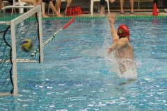 wasserball-chemnitz-dresden-2017-11-17-10