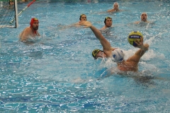 wasserball-chemnitz-dresden-2017-11-17-13