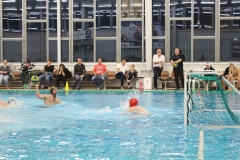 wasserball-chemnitz-dresden-2017-11-17-15