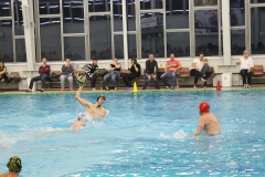 wasserball-chemnitz-dresden-2017-11-17-16