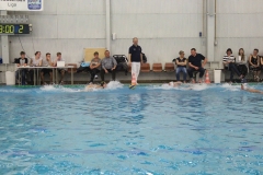 wasserball-chemnitz-dresden-2017-11-17-21