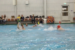 wasserball-chemnitz-dresden-2017-11-17-22
