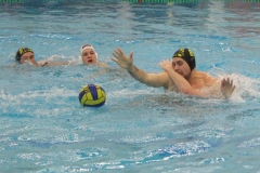 wasserball-chemnitz-dresden-2017-11-17-23