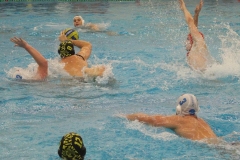 wasserball-chemnitz-dresden-2017-11-17-25