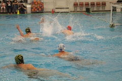 wasserball-chemnitz-dresden-2017-11-17-26