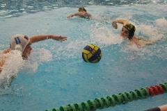 wasserball-chemnitz-dresden-2017-11-17-33