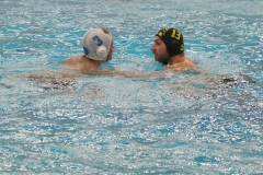 wasserball-chemnitz-dresden-2017-11-17-34