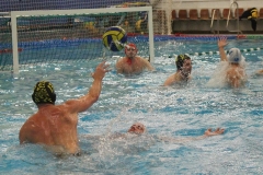 wasserball-chemnitz-dresden-2017-11-17-36