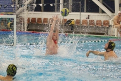 wasserball-chemnitz-dresden-2017-11-17-38