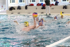2017-12-02-wasserball-oberliga-dresden-08