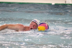 2017-12-02-wasserball-oberliga-dresden-30