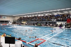 2017-12-12-water-polo-world-league-dresden-2017-008