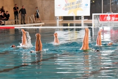 2017-12-12-water-polo-world-league-dresden-2017-012