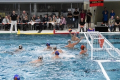 2017-12-12-water-polo-world-league-dresden-2017-036