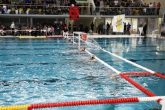 2017-12-12-water-polo-world-league-dresden-2017-050