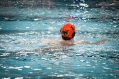 2017-12-12-water-polo-world-league-dresden-2017-051