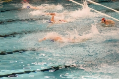 2017-12-12-wasserball-laenderspiel-dresden-028