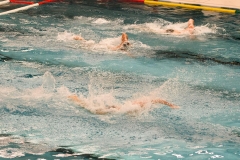 2017-12-12-wasserball-laenderspiel-dresden-029