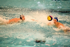 2017-12-12-wasserball-laenderspiel-dresden-030