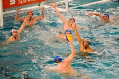 2017-12-12-wasserball-laenderspiel-dresden-031