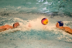 2017-12-12-wasserball-laenderspiel-dresden-046
