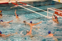 2017-12-12-wasserball-laenderspiel-dresden-052