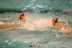 2017-12-12-wasserball-laenderspiel-dresden-062