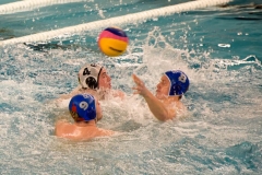 2017-12-12-wasserball-laenderspiel-dresden-063