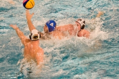 2017-12-12-wasserball-laenderspiel-dresden-064