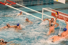 2017-12-12-wasserball-laenderspiel-dresden-066