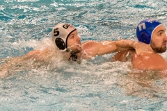 2017-12-12-wasserball-laenderspiel-dresden-067