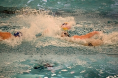 2017-12-12-wasserball-laenderspiel-dresden-072