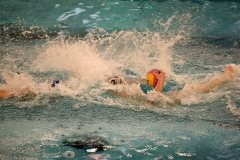 2017-12-12-wasserball-laenderspiel-dresden-073