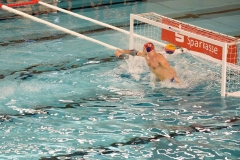 2017-12-12-wasserball-laenderspiel-dresden-093