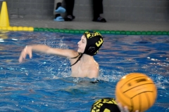 2018-01-13-wasserball-jugend-u14-dresden-2017-03