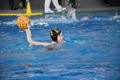 2018-01-13-wasserball-jugend-u14-dresden-2017-06