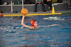2018-01-13-wasserball-jugend-u14-dresden-2017-07