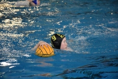 2018-01-13-wasserball-jugend-u14-dresden-2017-08