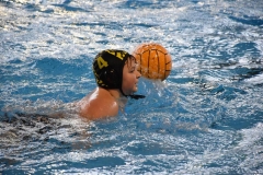 2018-01-13-wasserball-jugend-u14-dresden-2017-09