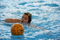2018-01-13-wasserball-jugend-u14-dresden-2017-12