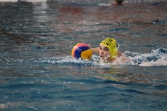 2018-03-10-wasserball-dresden-chemnitz-41