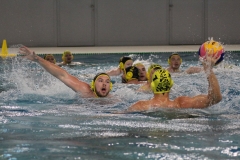 2018-05-05-wasserball-dresden-zwickau-08