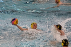 2018-05-05-wasserball-dresden-zwickau-18