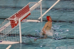 2018-05-05-wasserball-dresden-zwickau-20