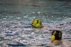 2018-05-05-wasserball-dresden-zwickau-26