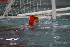 2018-05-05-wasserball-dresden-zwickau-33