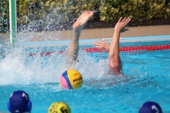2018-08-18-wasserball-turnier-burkau-31