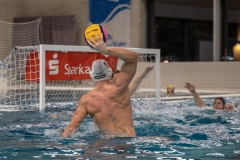 wasserball-laenderspiel-dresden-ungarn-dresden-2019_004