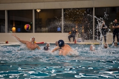 wasserball-laenderspiel-dresden-ungarn-dresden-2019_006